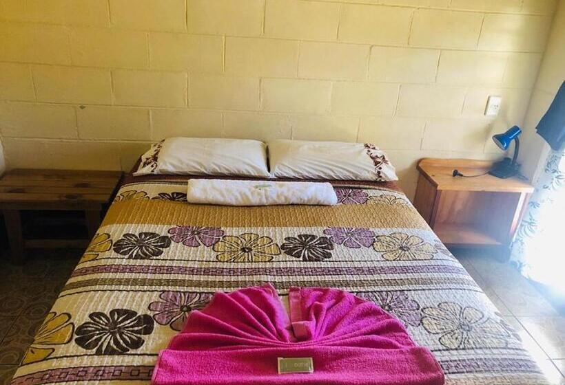 اتاق اکونومی, Transit Motel