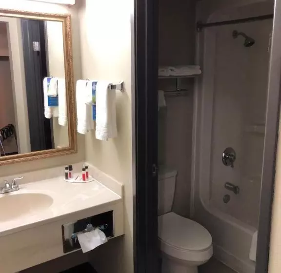 キングサイズベッドのデラックススイート, Baymont By Wyndham Oklahoma City Airport