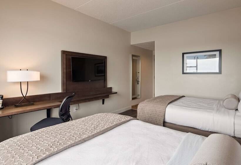 ２ダブルベッドのスタンダードルーム, Best Western Plus Coastline Inn