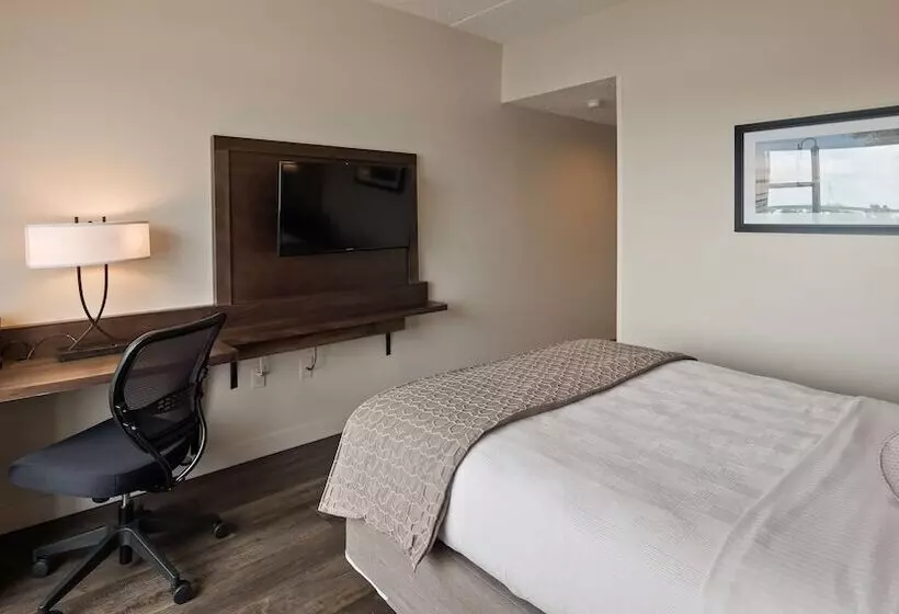 اتاق استاندارد با 2 تخت دوبل, Best Western Plus Coastline Inn