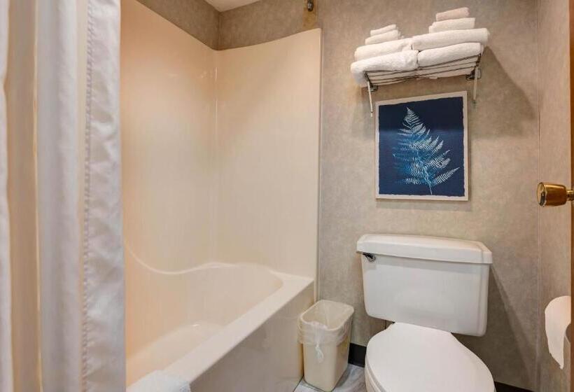 غرفة قياسية, Buffalo Lodge