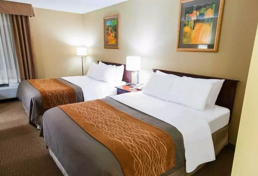 ２ダブルベッドのスタンダードルーム, Comfort Inn Amish Country