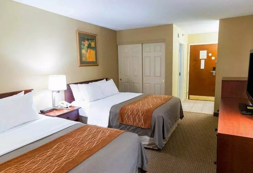 ２ダブルベッドのスタンダードルーム, Comfort Inn Amish Country