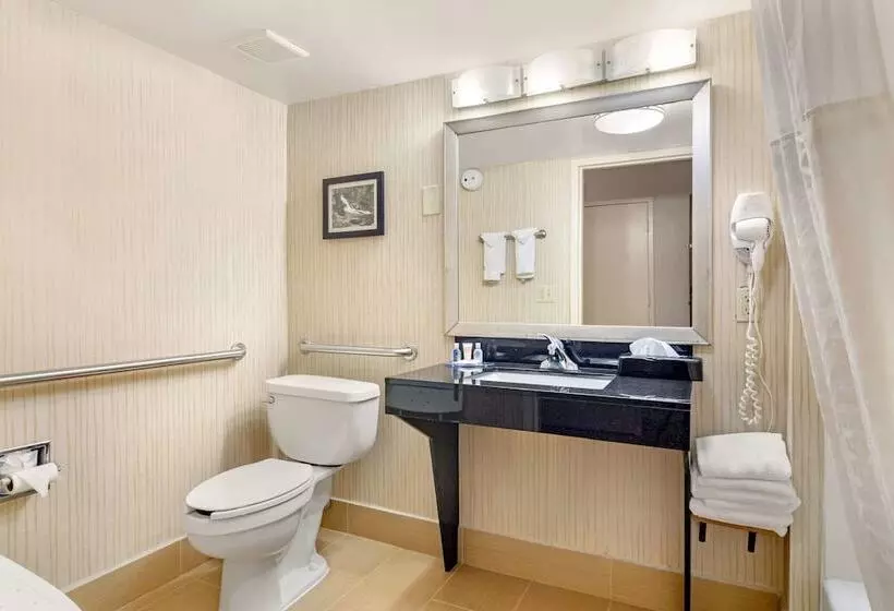 ２ダブルベッドのスタンダードルーム, Comfort Inn Douglasville  Atlanta West