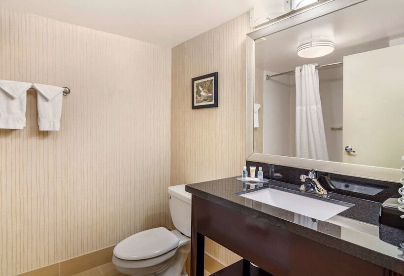 带2个双人床的标准工作室, Comfort Inn Douglasville  Atlanta West