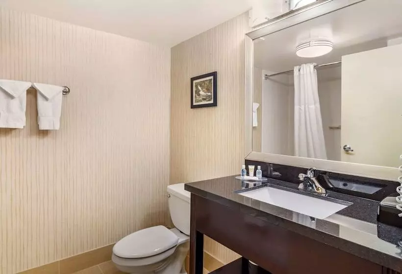 ２ダブルベッドのスタンダードルーム, Comfort Inn Douglasville  Atlanta West