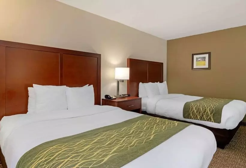 ２ダブルベッドのスタンダードルーム, Comfort Inn Douglasville  Atlanta West