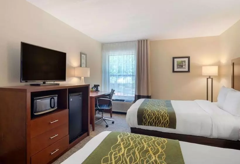 ２ダブルベッドのスタンダードルーム, Comfort Inn Douglasville  Atlanta West