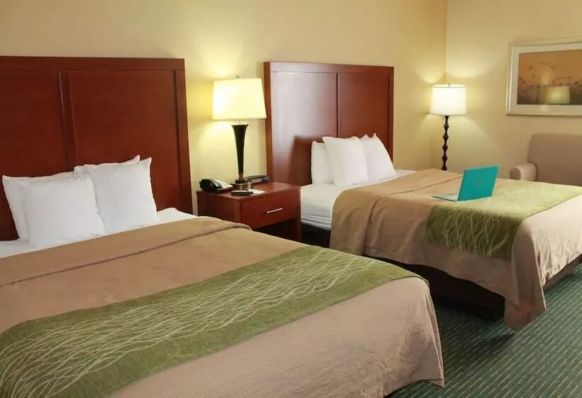 ２ダブルベッドのスタンダードルーム, Comfort Inn Douglasville  Atlanta West