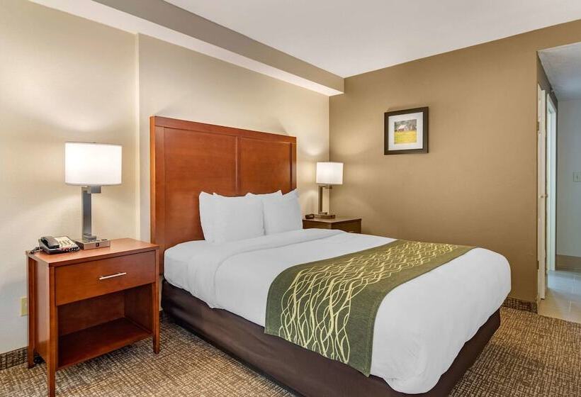 带2个双人床的标准工作室, Comfort Inn Douglasville  Atlanta West