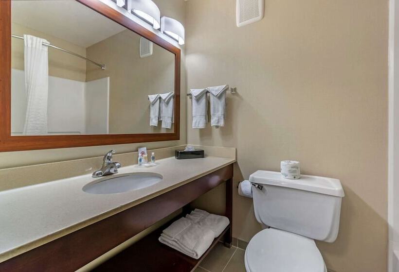 Люкс, Comfort Inn Kennewick Richland