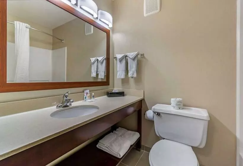 スイート, Comfort Inn Kennewick Richland