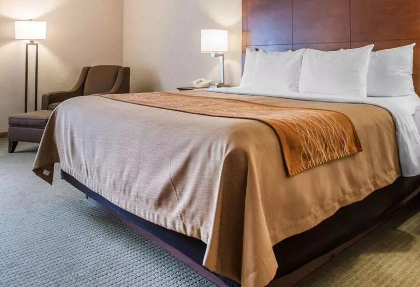 キングサイズベッドのスタンダードルーム, Comfort Inn Salida