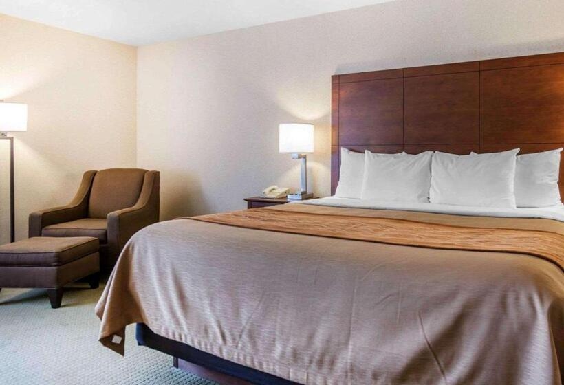 غرفة قياسية سرير كينج, Comfort Inn Salida