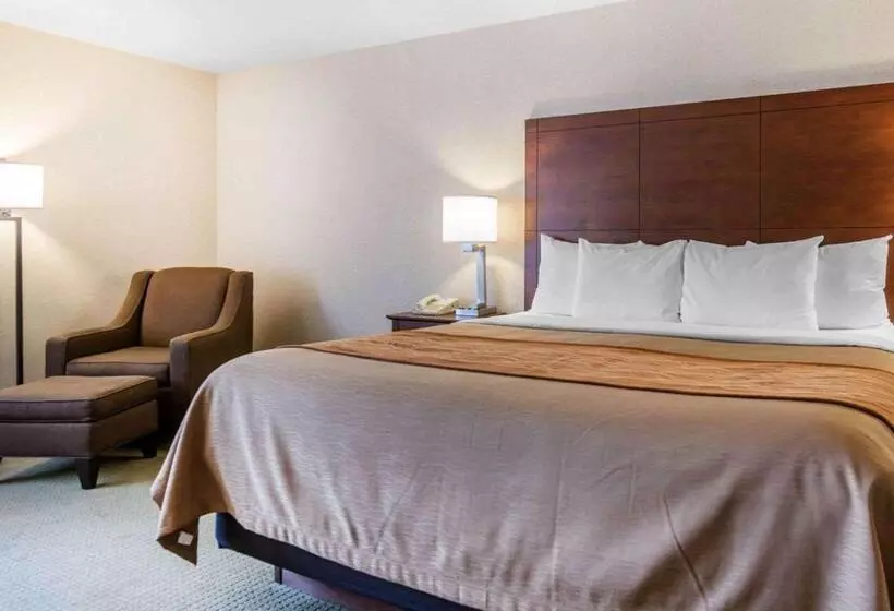 キングサイズベッドのスタンダードルーム, Comfort Inn Salida