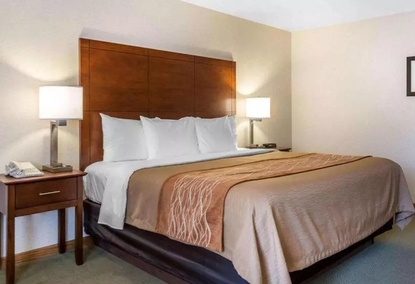 キングサイズベッドのスタンダードルーム, Comfort Inn Salida