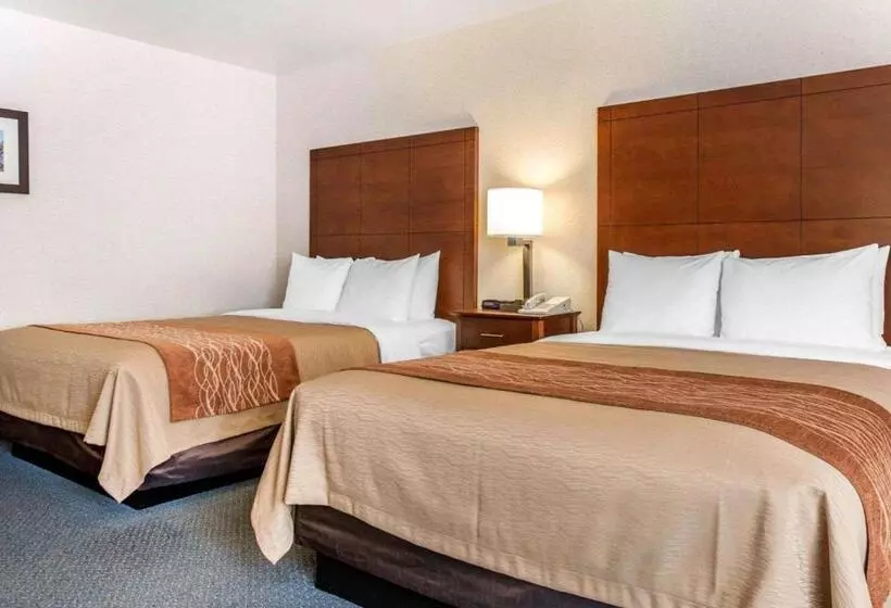 スタンダードルーム, Comfort Inn Salida