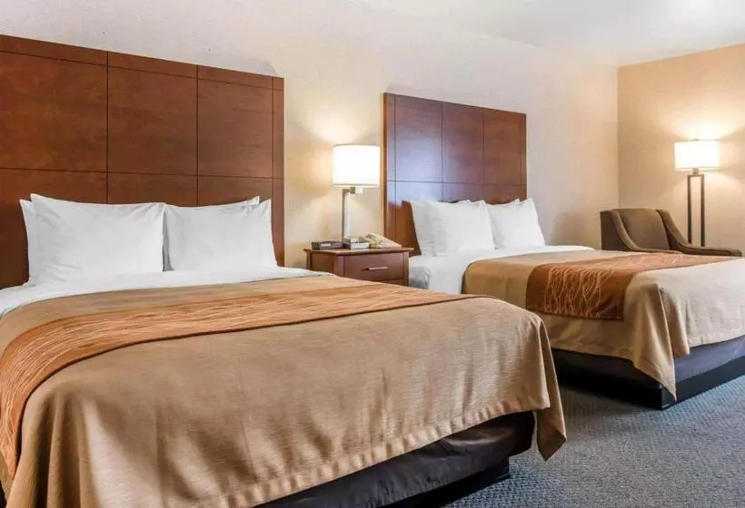 スタンダードルーム, Comfort Inn Salida