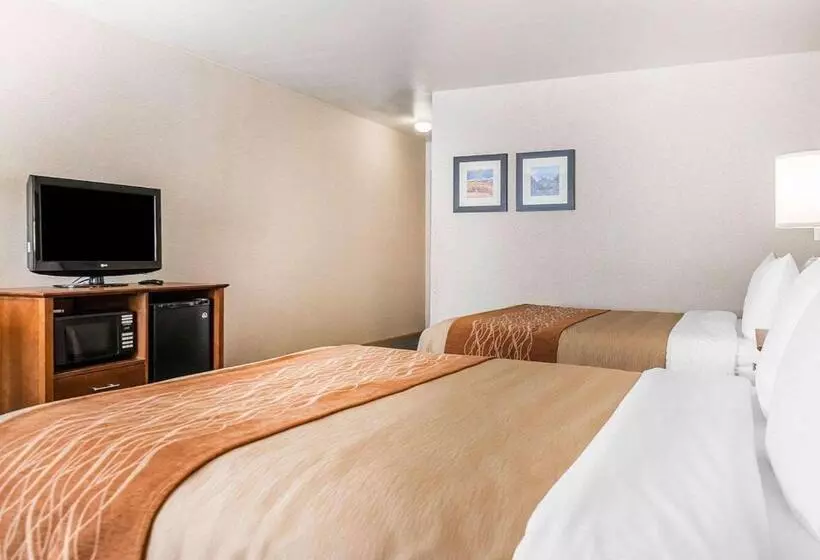 スタンダードルーム, Comfort Inn Salida