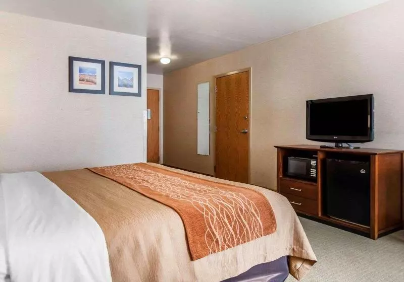 キングサイズベッドのスタンダードルーム, Comfort Inn Salida