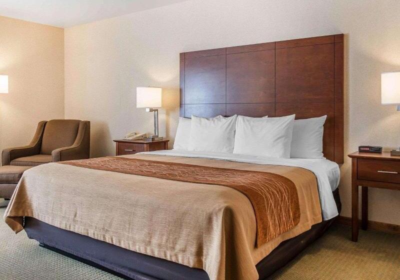 غرفة قياسية سرير كينج, Comfort Inn Salida