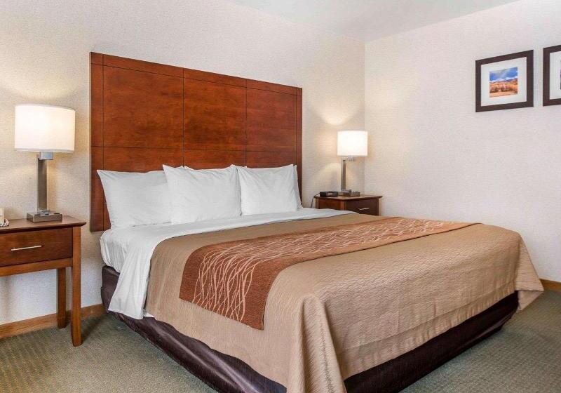 غرفة قياسية سرير كينج, Comfort Inn Salida