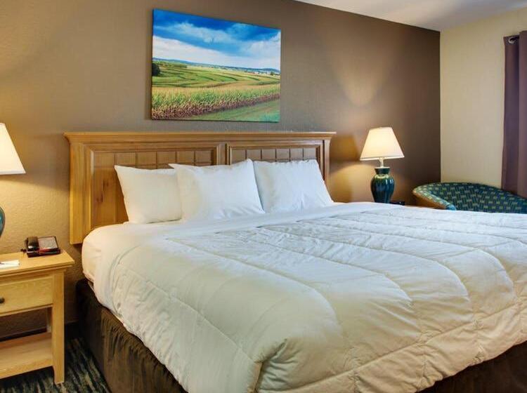 غرفة قياسية فردية لذوى الإحتياجات الخاصة, Everspring Inn & Suites