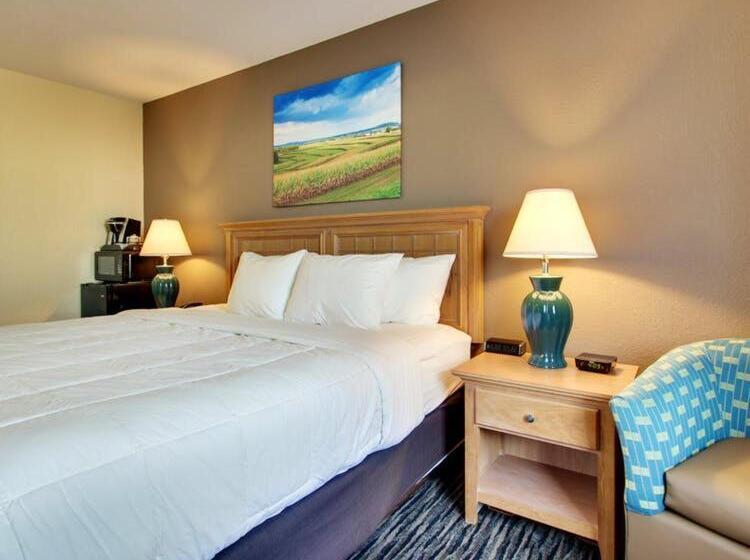 غرفة قياسية فردية لذوى الإحتياجات الخاصة, Everspring Inn & Suites