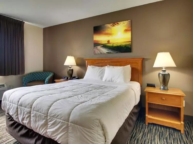 スタンダードシングルルーム, Everspring Inn & Suites
