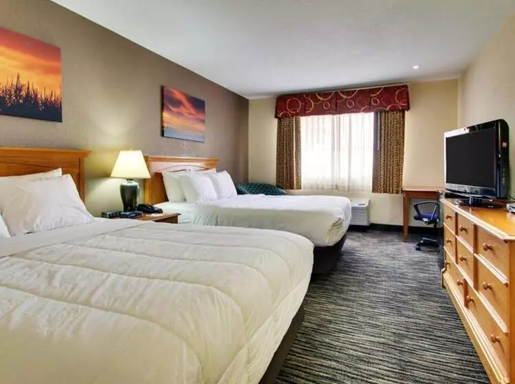 スタンダードルーム, Everspring Inn & Suites