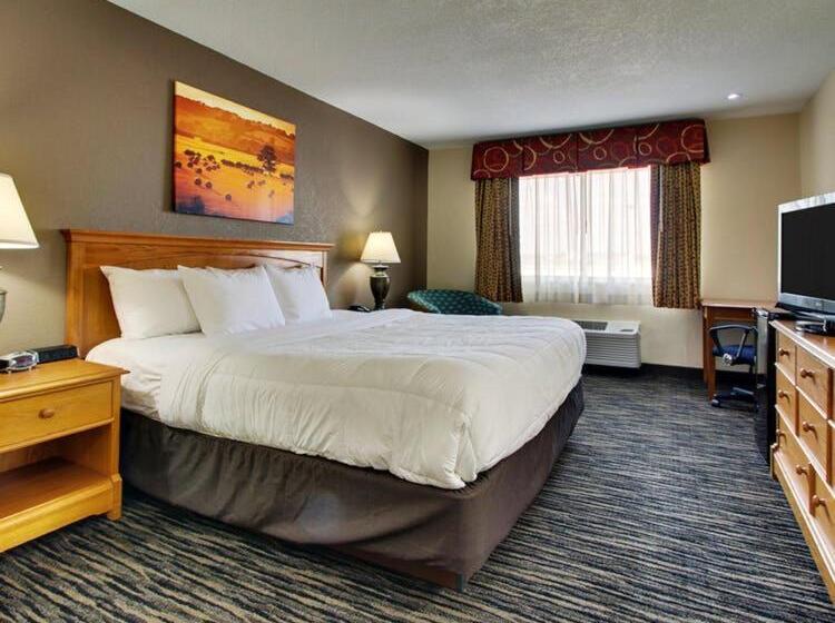 غرفة قياسية فردية, Everspring Inn & Suites