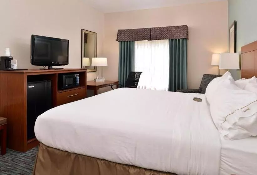 身障者適用キングサイズベッドルーム, Holiday Inn Express & Suites St Marys, An Ihg
