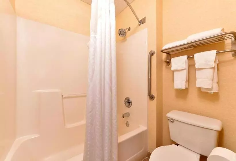 身障者適用キングサイズベッドルーム, Holiday Inn Express & Suites St Marys, An Ihg