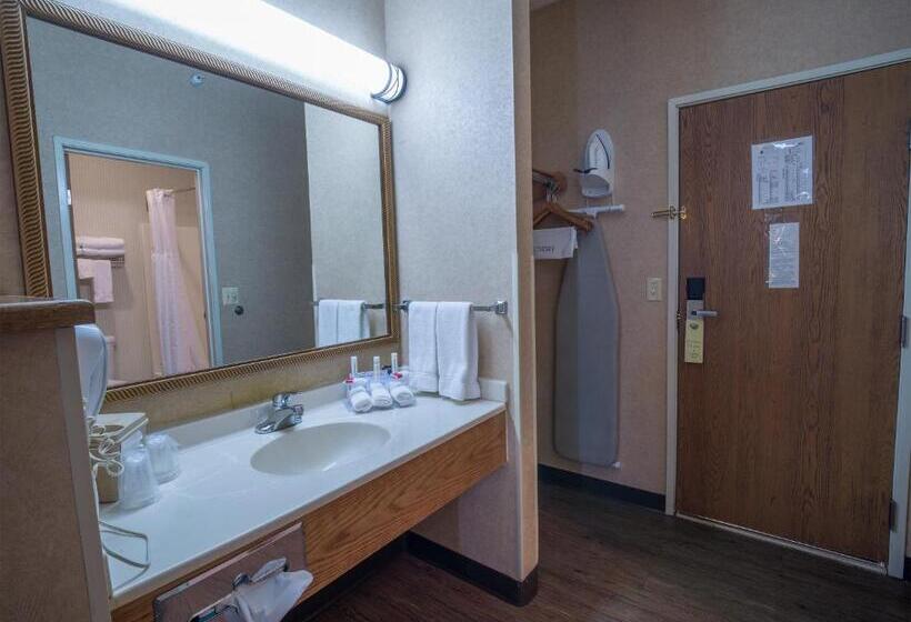 اتاق استاندارد با تخت بزرگ, Miles City