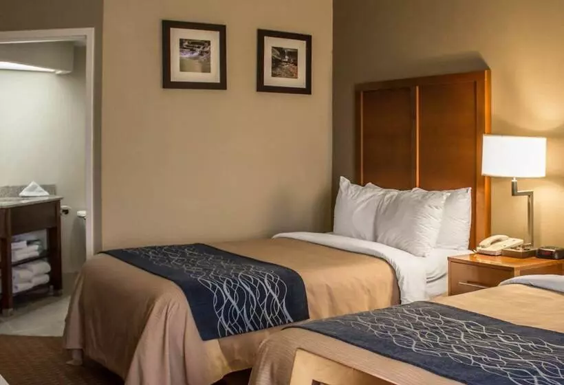 اتاق استاندارد با 2 تخت دوبل, Quality Inn Akron South