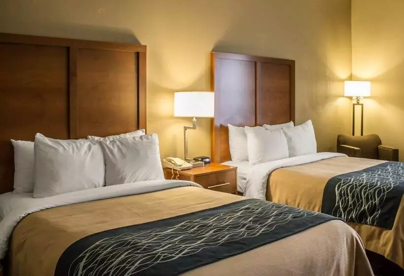 اتاق استاندارد با 2 تخت دوبل, Quality Inn Akron South