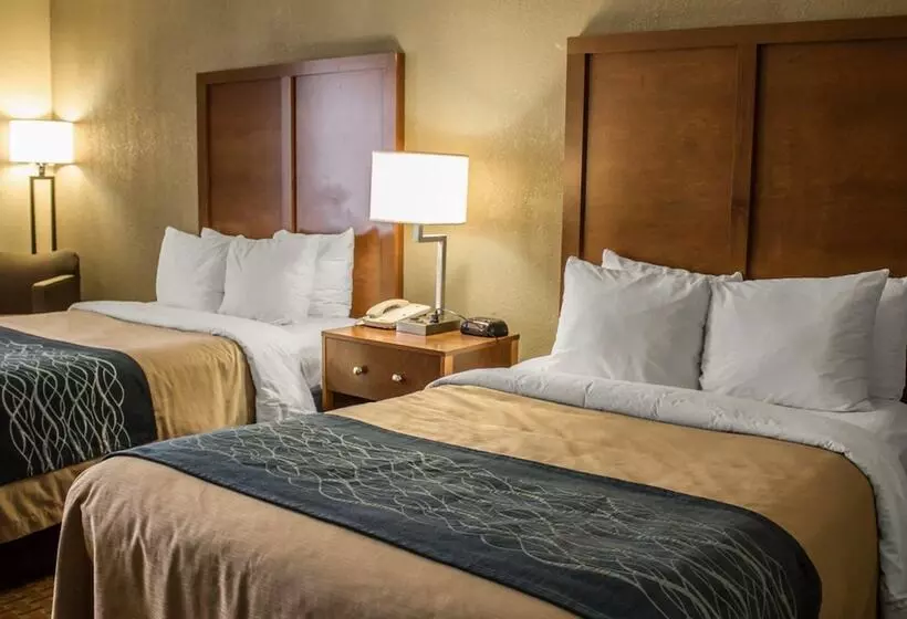 اتاق استاندارد با 2 تخت دوبل, Quality Inn Akron South