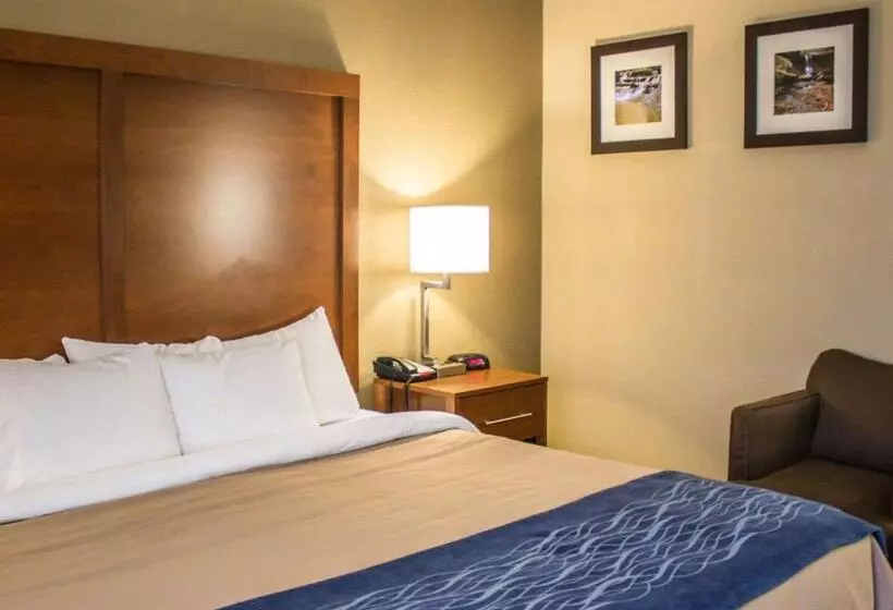 اتاق استاندارد با تخت بزرگ, Quality Inn Akron South