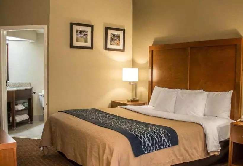 اتاق استاندارد با تخت بزرگ, Quality Inn Akron South