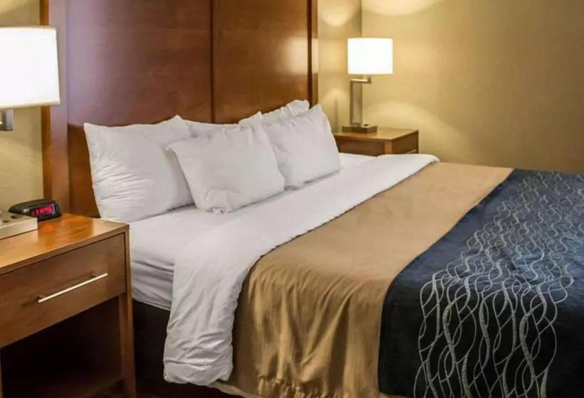اتاق استاندارد با تخت بزرگ, Quality Inn Akron South