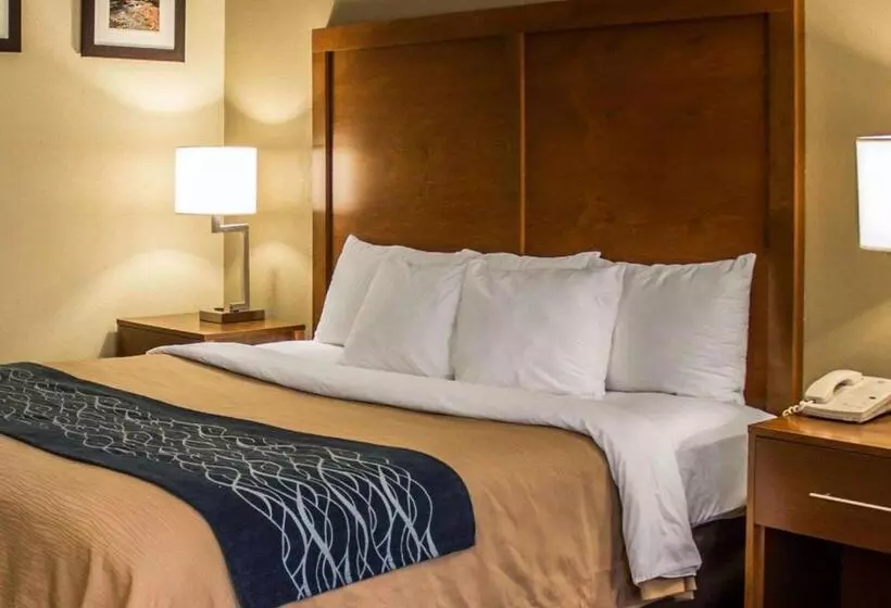اتاق استاندارد با تخت بزرگ برای معلولان, Quality Inn Akron South