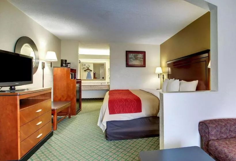 キングサイズベッドのスタンダードルーム, Quality Inn