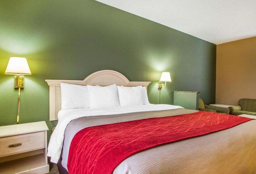 חדר סטנדרט עם מיטת קינג, Quality Inn Columbia
