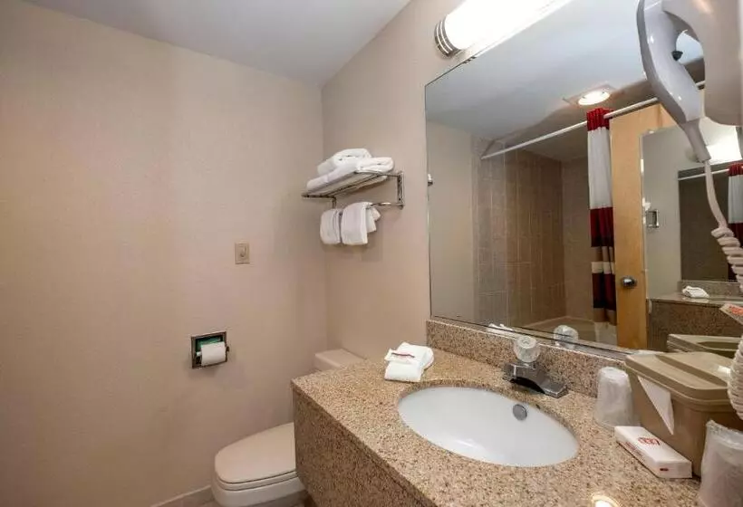 キングサイズベッドのスイートルーム, Red Roof Inn Clifton Park