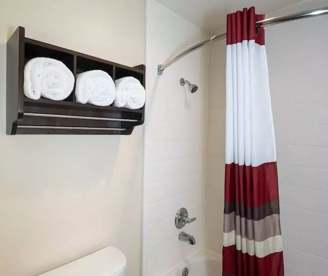 デラックスルーム, Red Roof Inn Indianapolis  Greenwood