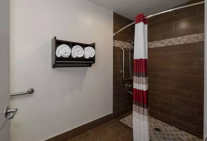 障害者適応デラックスルーム, Red Roof Inn Indianapolis  Greenwood