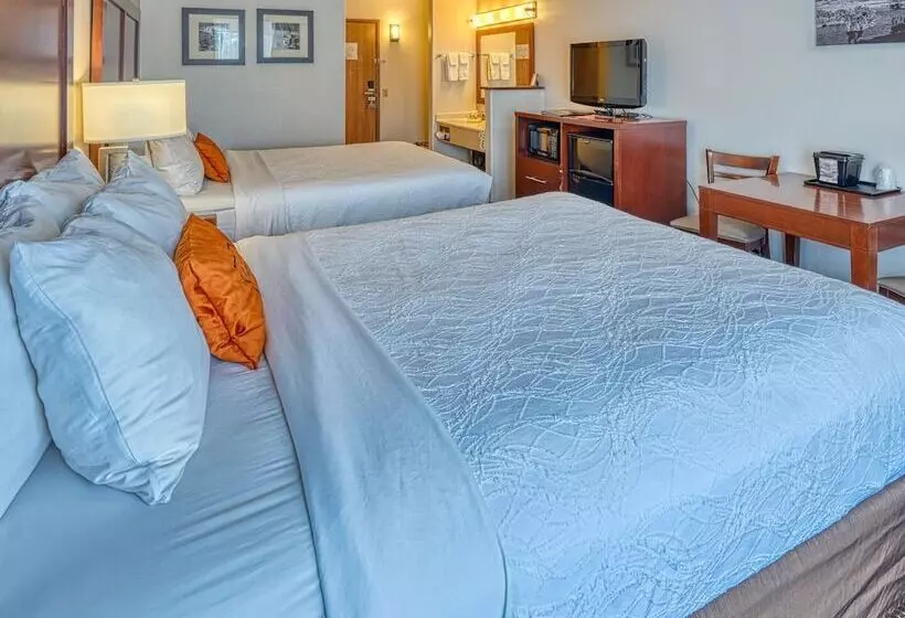 スタンダードルーム, Yellowstone River Inn & Suites