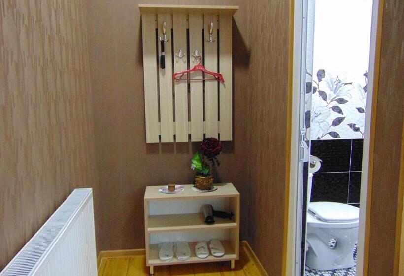 اتاق استاندارد, Julia Akhaltsikhe