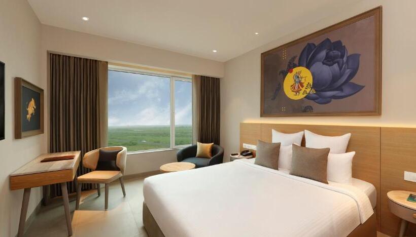 豪华房间, Ginger Dwarka