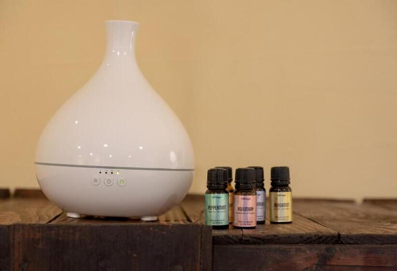 套房, Isana Resort